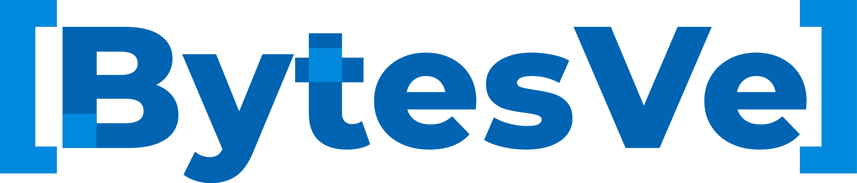 Logo bytesve